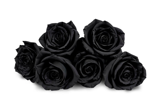 Black Roses: Symbolism, Occasions, and How to Order Yours