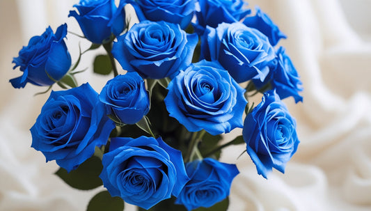 Blue Roses Meaning, Availability & Delivery in Auckland