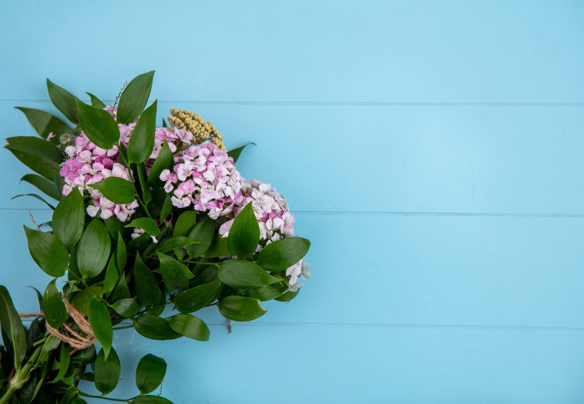 Ann Cheshire Florist