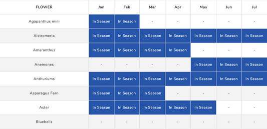 Auckland Flower Availability Calendar: What's in Season Each Month
