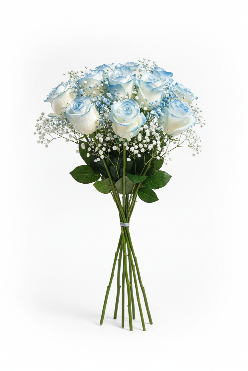 Bouquet of light blue roses with baby's breath on a white background