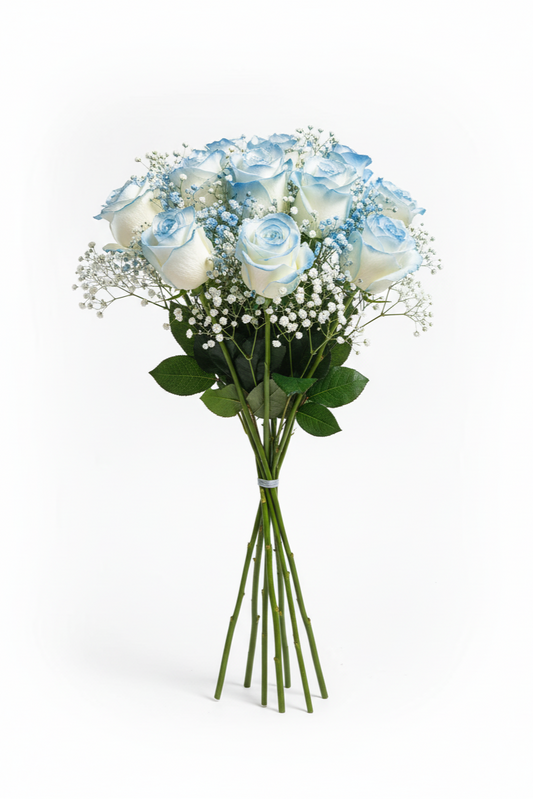 Bouquet of light blue roses with baby's breath on a white background