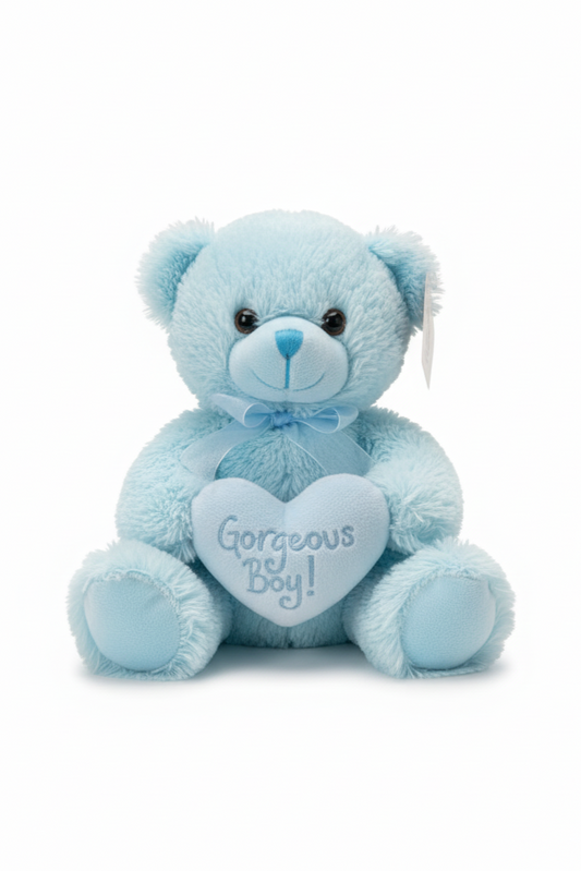 Blue teddy bear with a heart that says 'Gorgeous Boy!' on a white background