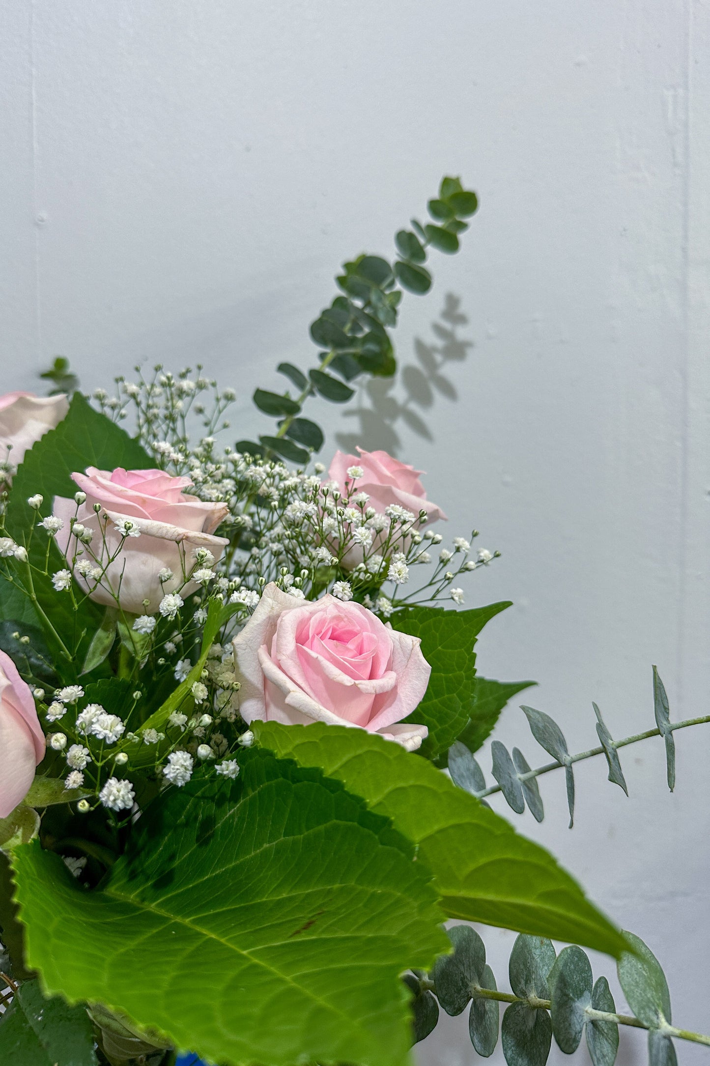 Half Dozen Pink Roses