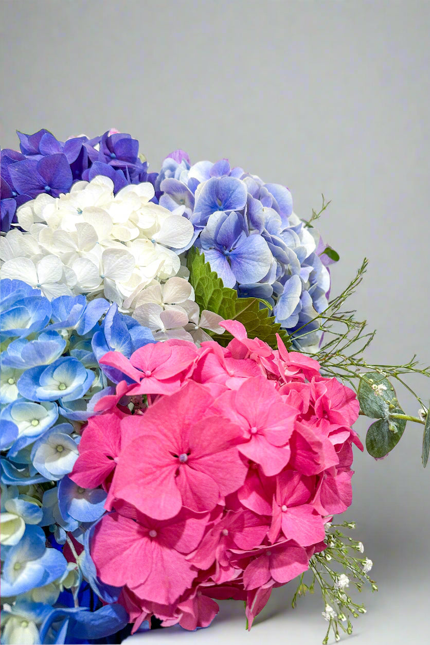 Multicolor Hydrangea Bouquet


