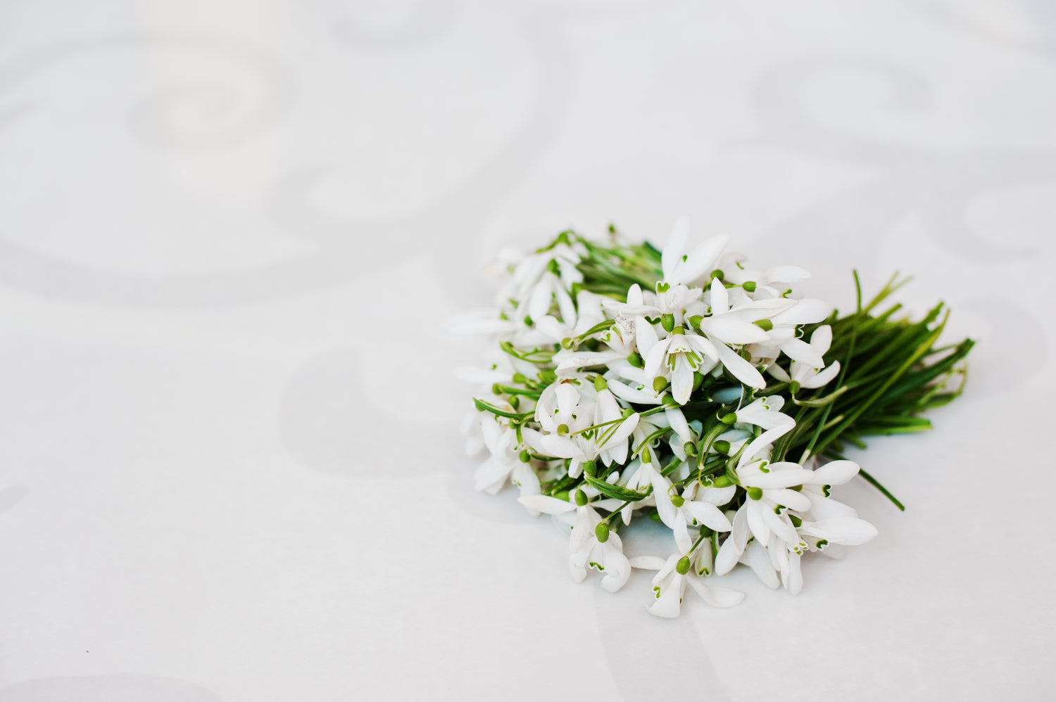 A small bouquet of delicate white snowdrop flowers lying on a light patterned surface, showcasing their graceful petals and green stems.